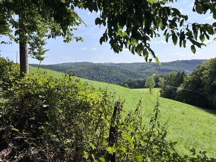 Fotografie z Momo na trase