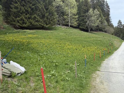 Foto von Rico Vincenz entlang der Tour