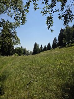 Foto von Walter Dienstl entlang der Tour