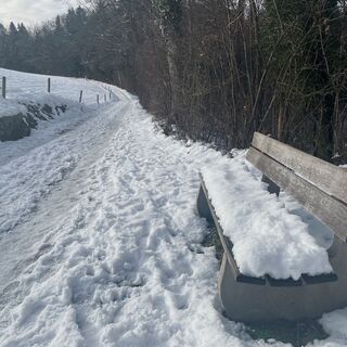 Weg nach Hinterschellenberg