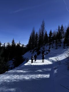 Fotografija s spletne strani Gábor Steffer na poti