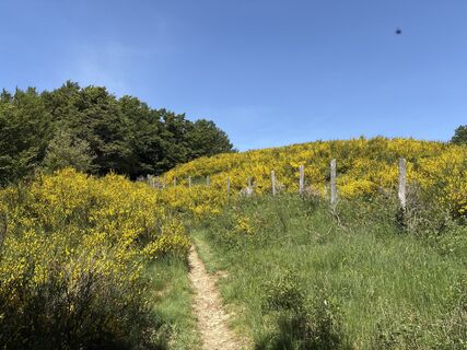 Foto von Michele tofanelli entlang der Tour