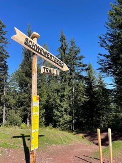 Einstieg Schweinestberg Trail II.jpg