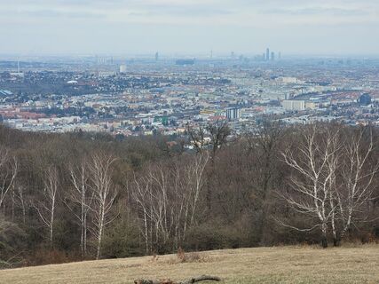 Foto von mmecki entlang der Tour