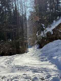 Fotografie z Reinhard Frewein na trase