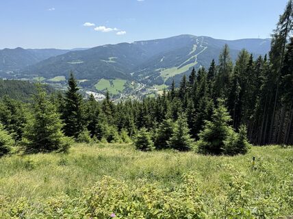 Foto von Gerhard Fischer entlang der Tour