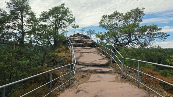 Photo de Franz-Wilhelm Hefner le long du parcours