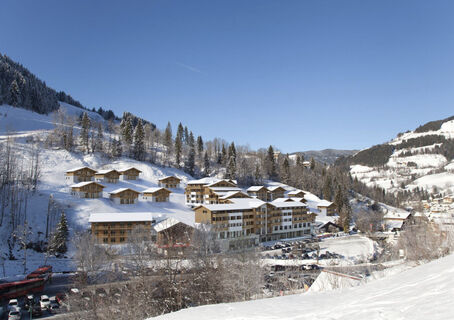 Chalet &amp; Apartmentdorf Wagrain Alpenleben