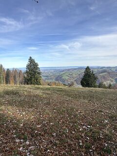 Fotografie de la Babs Holz de-a lungul turului