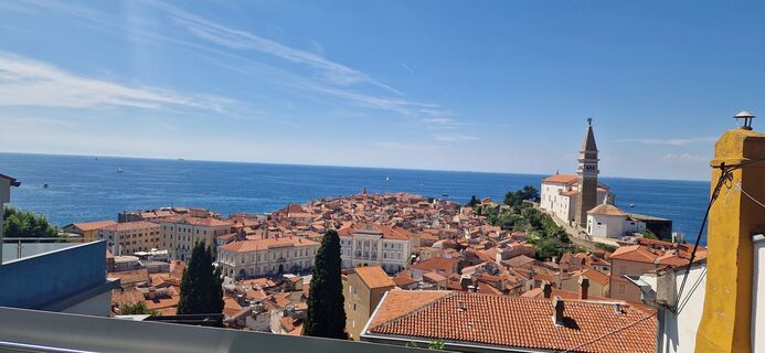 Fotografia z Utassy Tóth Johanna na trase