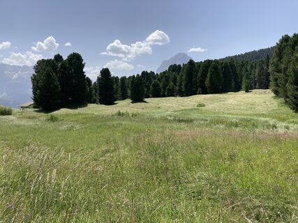 Foto von MountainPG entlang der Tour