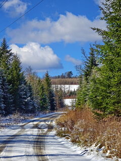 da gehts lang, voll die Mischung aus weiß, grün, blau und braun (total unpolitisch!)