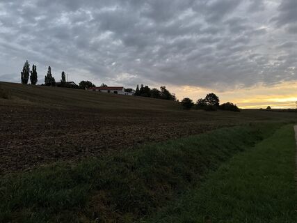 Foto de Schaali a lo largo del recorrido
