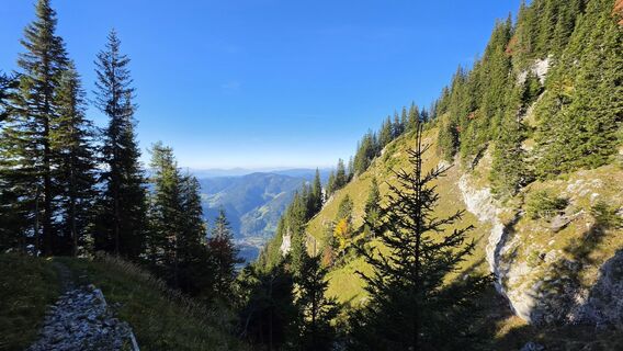Fotografija s spletne strani EP87 na poti