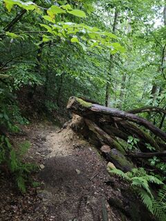 Zdjęcie z Björn Heun wzdłuż trasy