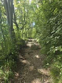 Fotografija s spletne strani Damir Habuš na poti