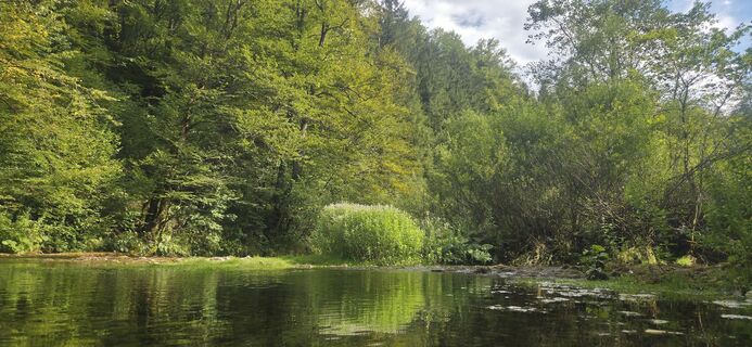 Fotografie z Darija Forgač na trase