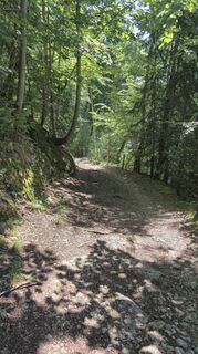 Foto von Margit Tratter entlang der Tour