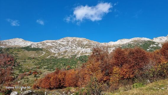 Fotografia z hw1958 na trase