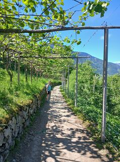 Photo de Albert Sturn le long du parcours