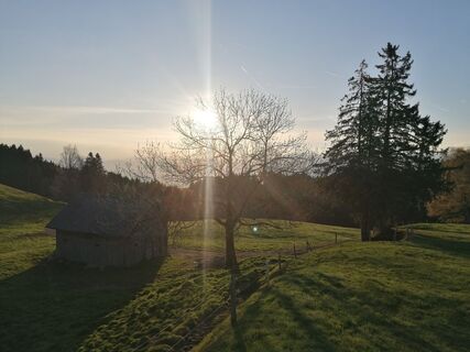 Fotografija s spletne strani Turbinio na poti