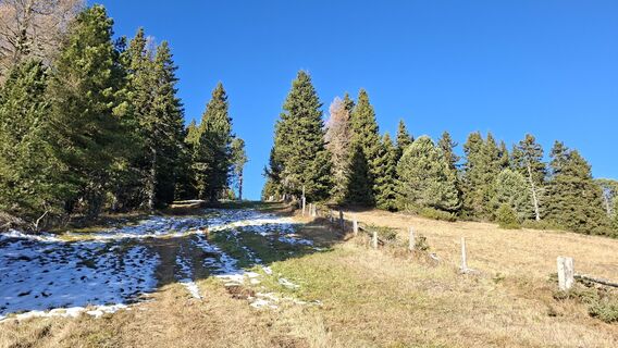 Zdjęcie z Horst Ditjo wzdłuż trasy