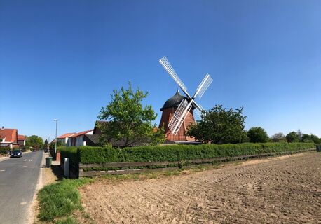 Windmühle Zweidorf