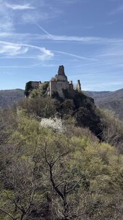 Fotografija s spletne strani ROSARIO FERRAZ na poti