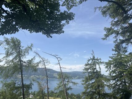 Foto von Ali Wafaii entlang der Tour