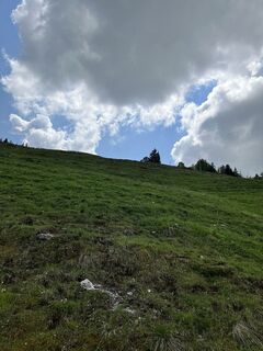Foto von Kerstin Albrecht entlang der Tour