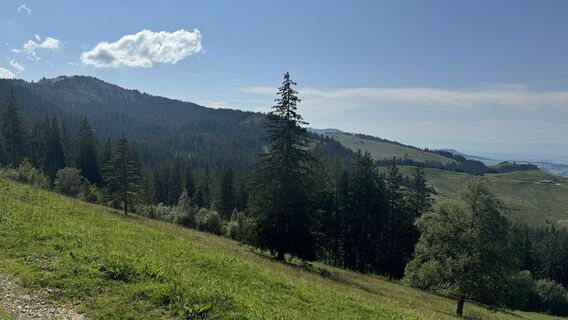 Foto von peter_oe entlang der Tour