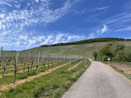 Photo de holgerwag le long du parcours