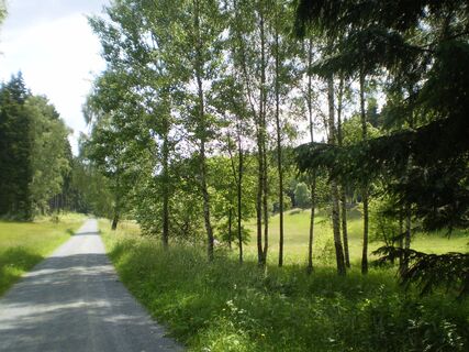 Zeidelweide