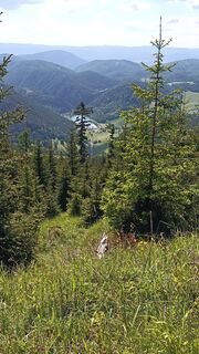 Foto von Bergpirat entlang der Tour