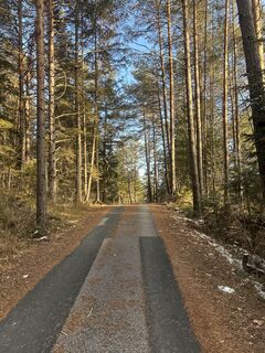 Foto de Maximilian Klammer a lo largo del recorrido