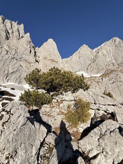 Photo de Sonja Boscarolli le long du parcours