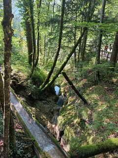 Foto von Elisabeth Sieberer entlang der Tour