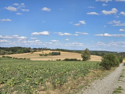 Foto von B0nyi entlang der Tour