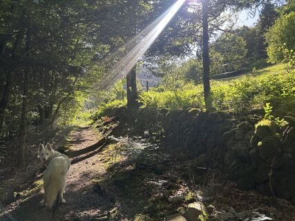 Photo de Caroline Ozog-Orzegowski le long du parcours