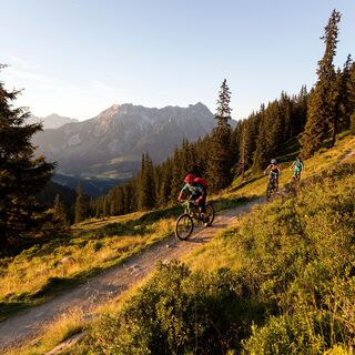 Schönleiten Trail