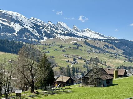 Фото с сайта Daniel Herz во время экскурсии
