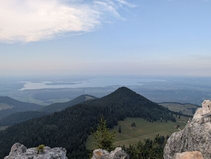 Photo de Stubi le long du parcours