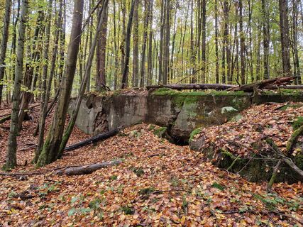 Relikte am Westwall Weg