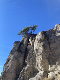 Foto von Philip N. entlang der Tour