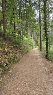 Fotografija s spletne strani Petra Scherrer na poti