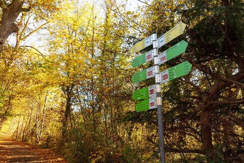 Symbolbild Hauptwegweiser im Herbst auf dem Gaildorfer Rundwanderweg