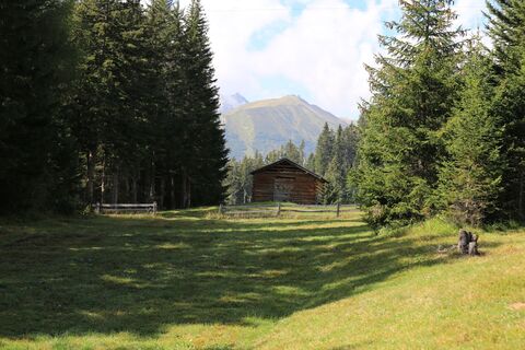 Zemljevid