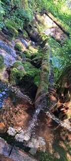 Foto von Alfin entlang der Tour