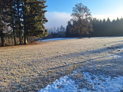 Foto von Bernadette Erla entlang der Tour