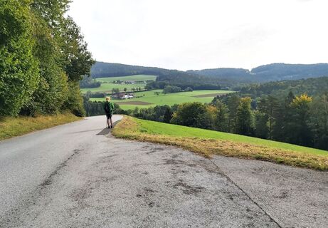 Am Weg zur Ringwarte, Naturpark Pöllauer Tal in der Oststeiermark